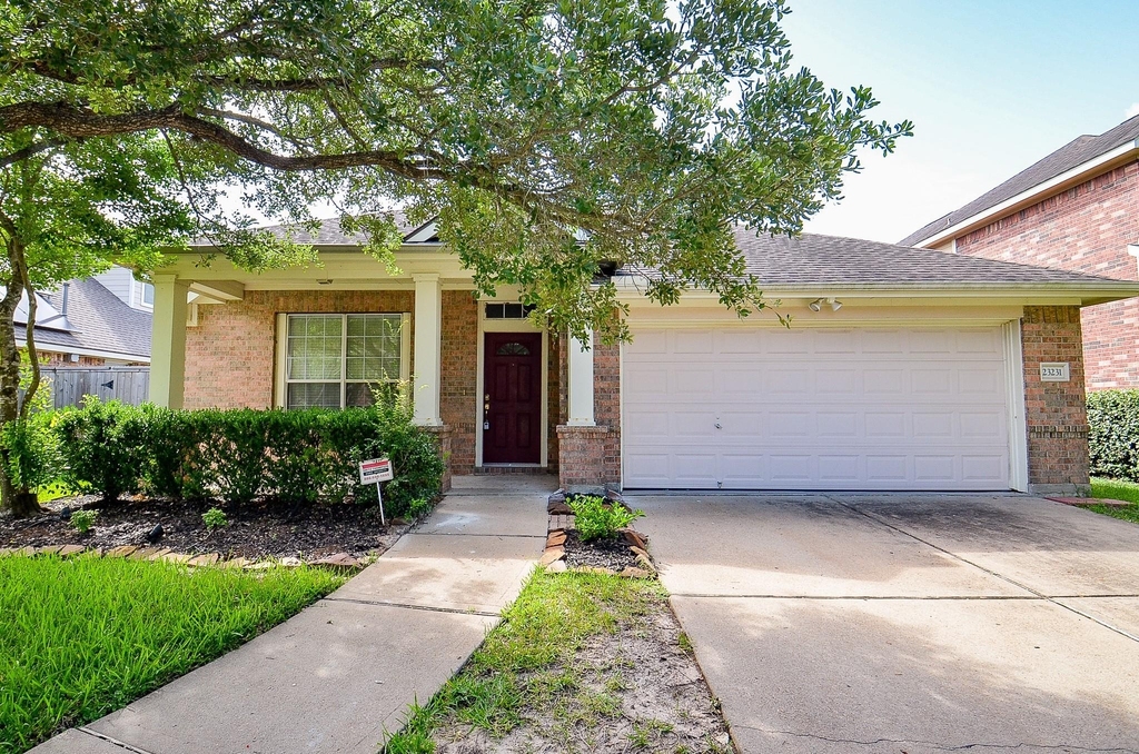 23231 Century Plant Drive - Photo 13