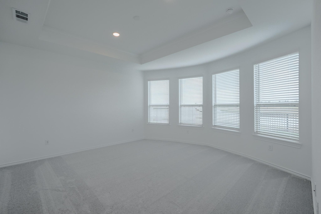 15117 Wild Gully Way - Photo 16