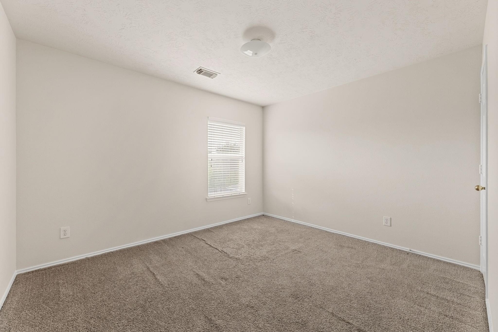 18123 Spring Run Lane - Photo 15