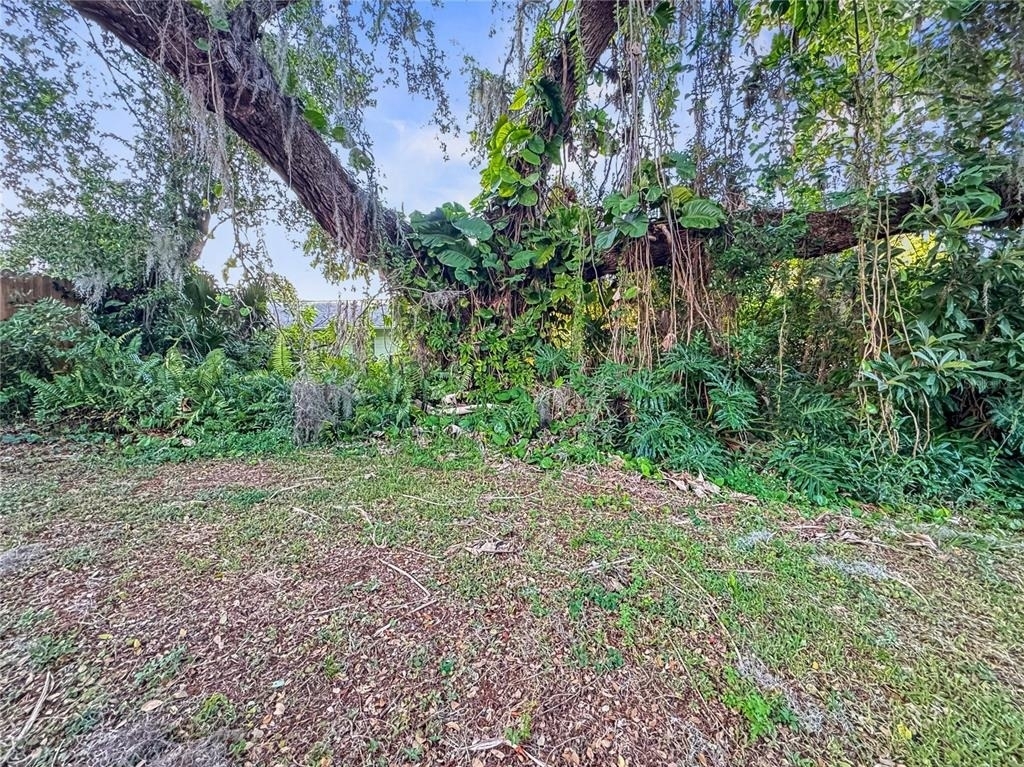 2115 W Ivy Street - Photo 16
