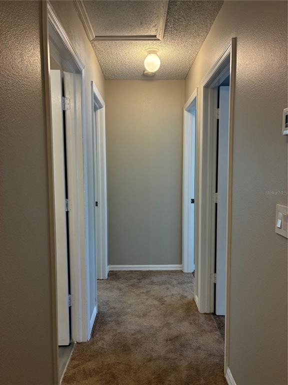 18143 Paradise Point Drive - Photo 19
