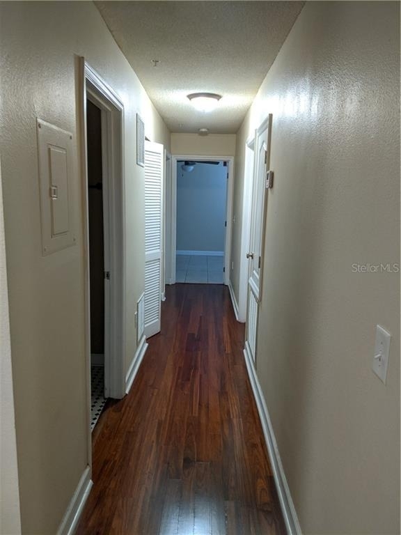 2019 Dixie Belle Drive - Photo 8