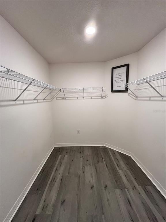 2121 Hibiscus Place - Photo 6