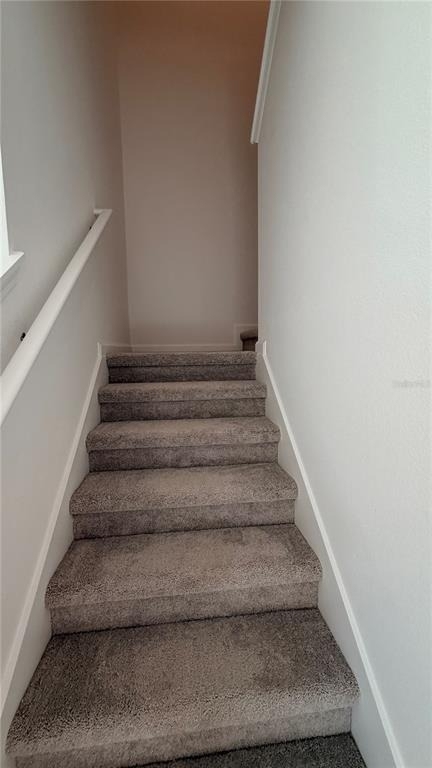 2204 Red Sun Street - Photo 13