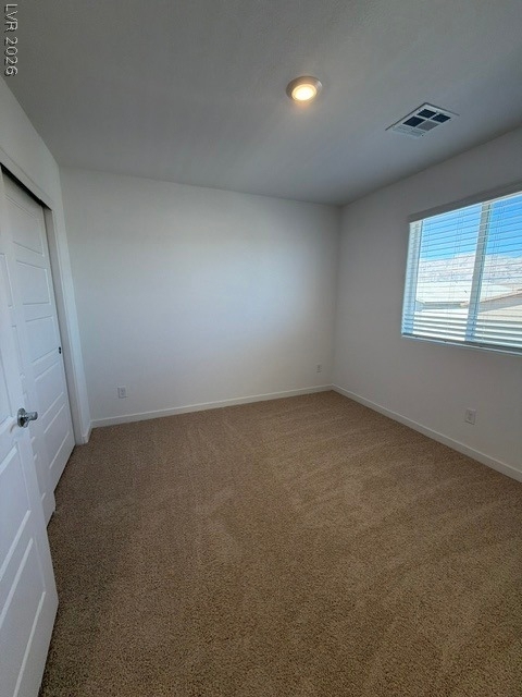 924 Alethea River Avenue - Photo 14