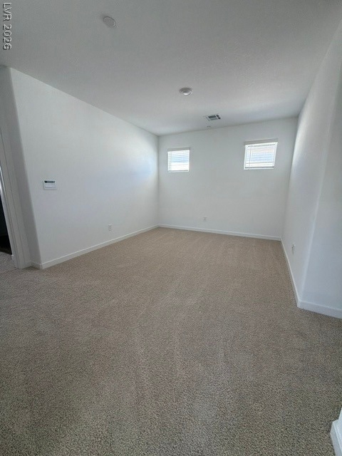 924 Alethea River Avenue - Photo 25