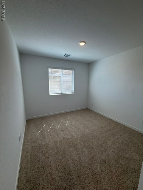 924 Alethea River Avenue - Photo 11