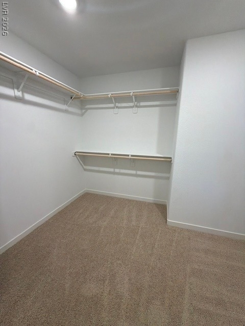 924 Alethea River Avenue - Photo 19
