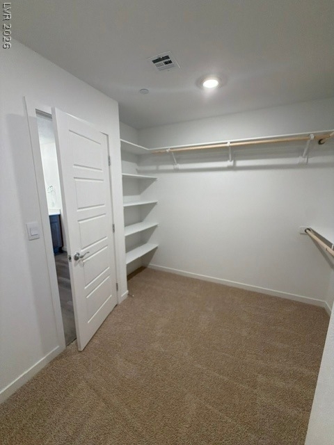 924 Alethea River Avenue - Photo 18