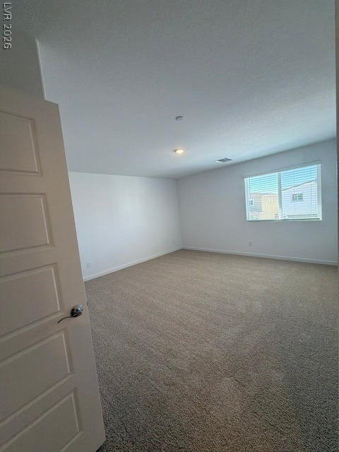 924 Alethea River Avenue - Photo 23