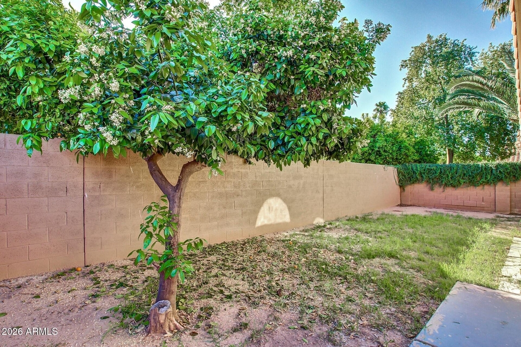 19113 N 75th Drive - Photo 29