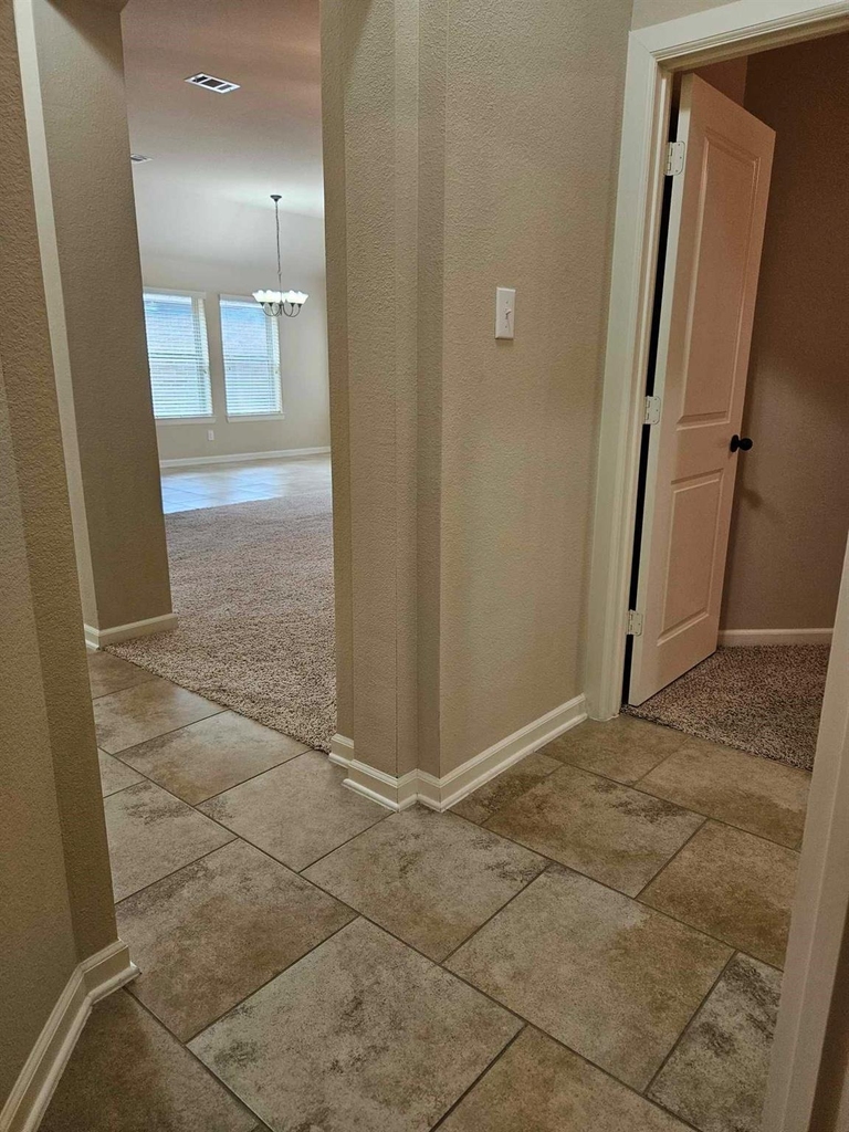8312 Whistling Duck Drive - Photo 17