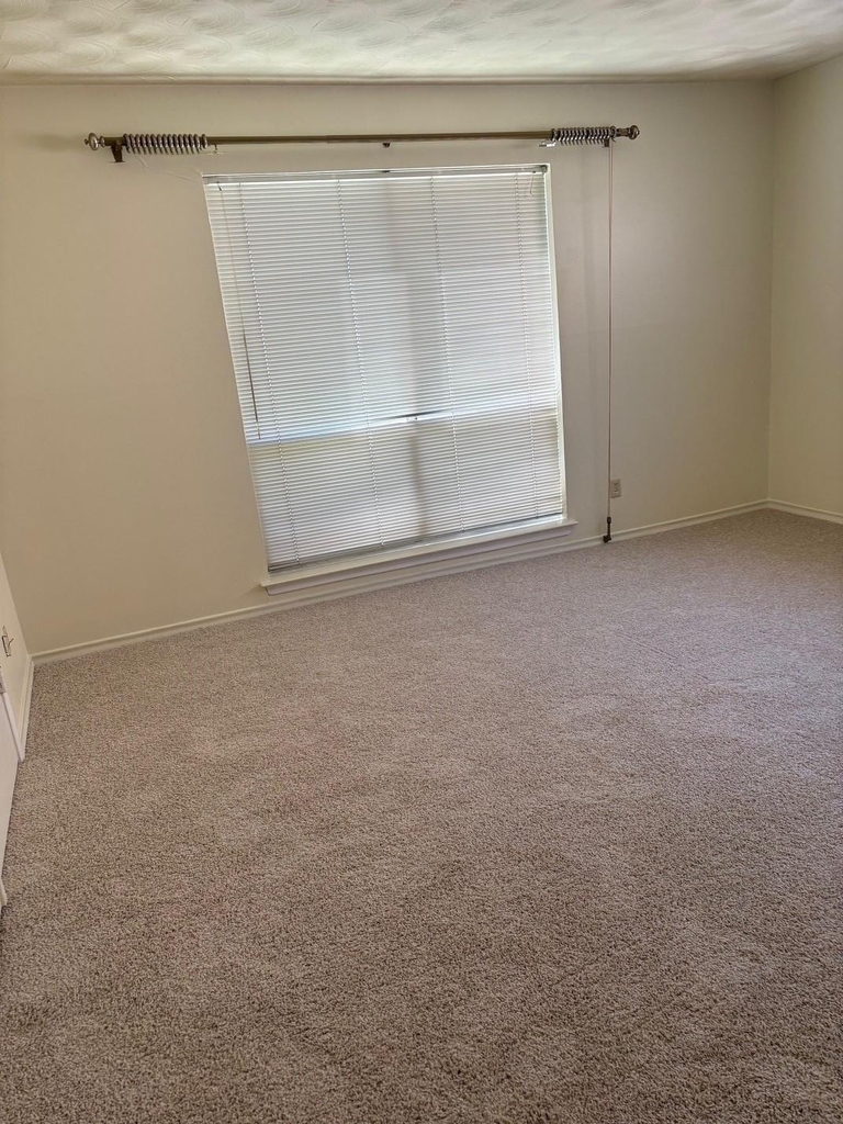 8526 Baltimore Drive - Photo 6