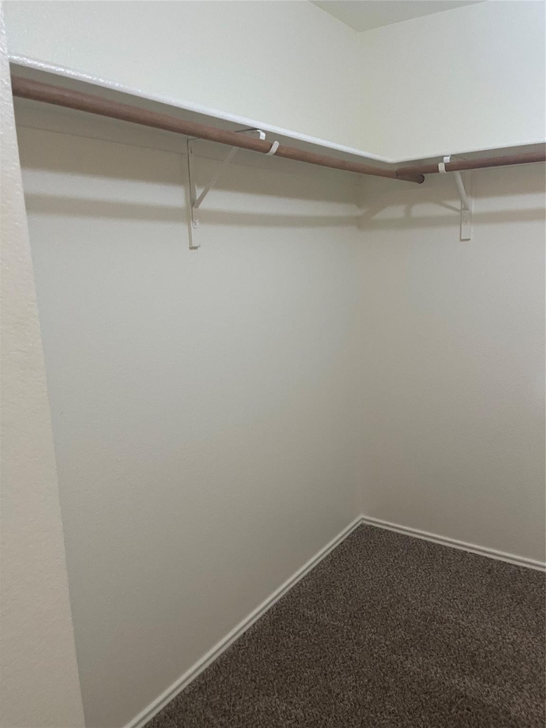 6716 Barred Owl Road - Photo 31