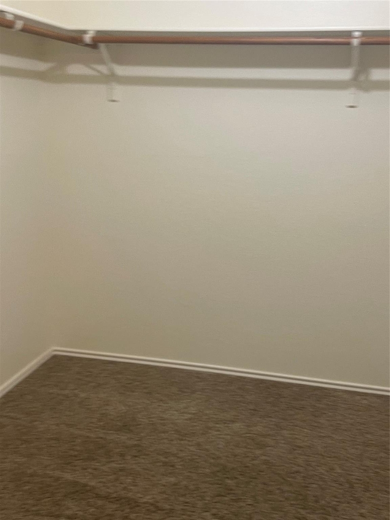 6716 Barred Owl Road - Photo 18