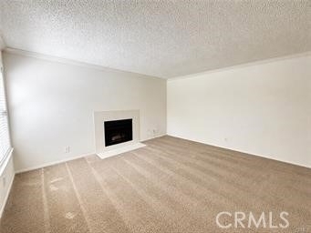 10655 Lemon Avenue - Photo 1