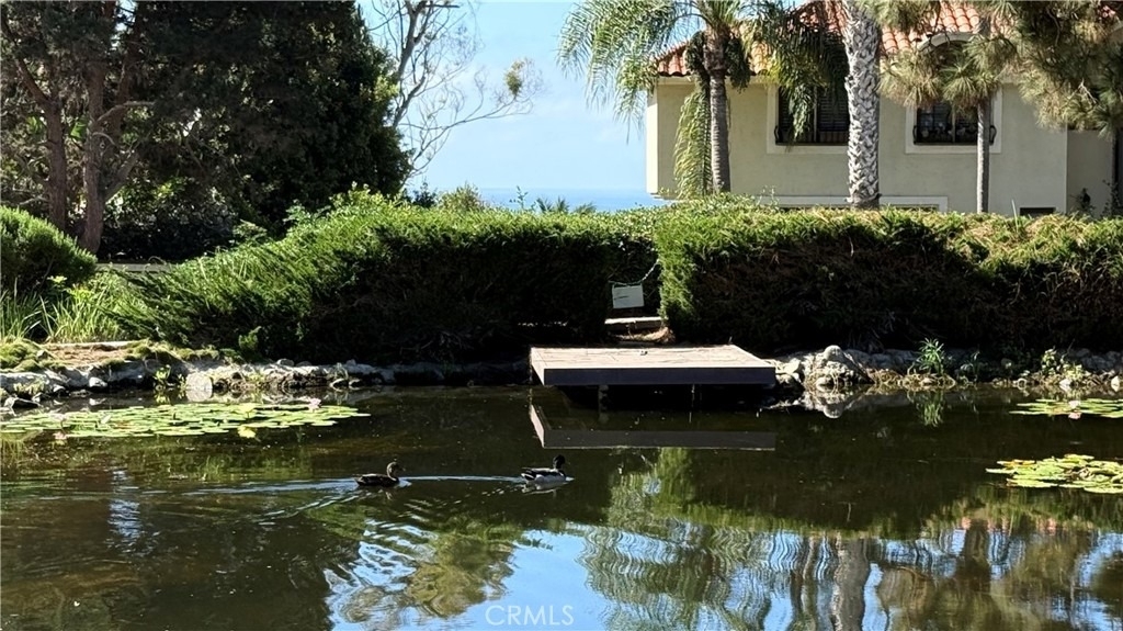 27125 Mill Pond - Photo 47