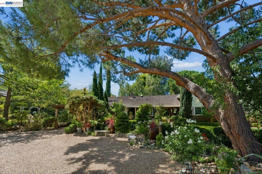 895 Mitchell Canyon Rd - Photo 1