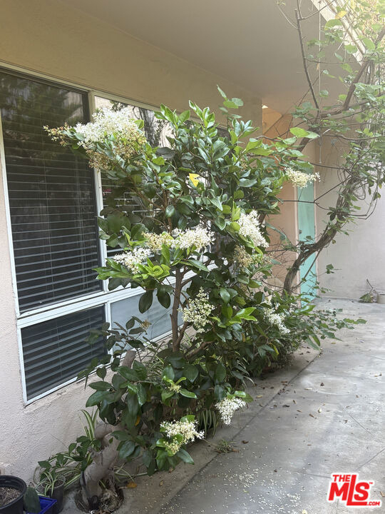 828 Lincoln Boulevard - Photo 11