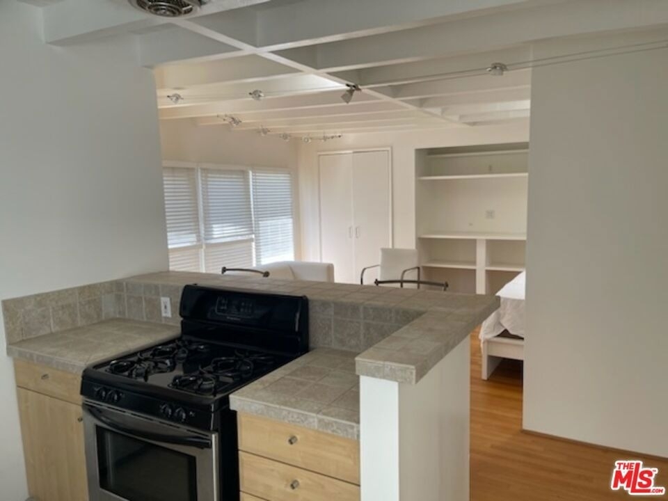 516 1/4 N San Vicente Boulevard - Photo 9