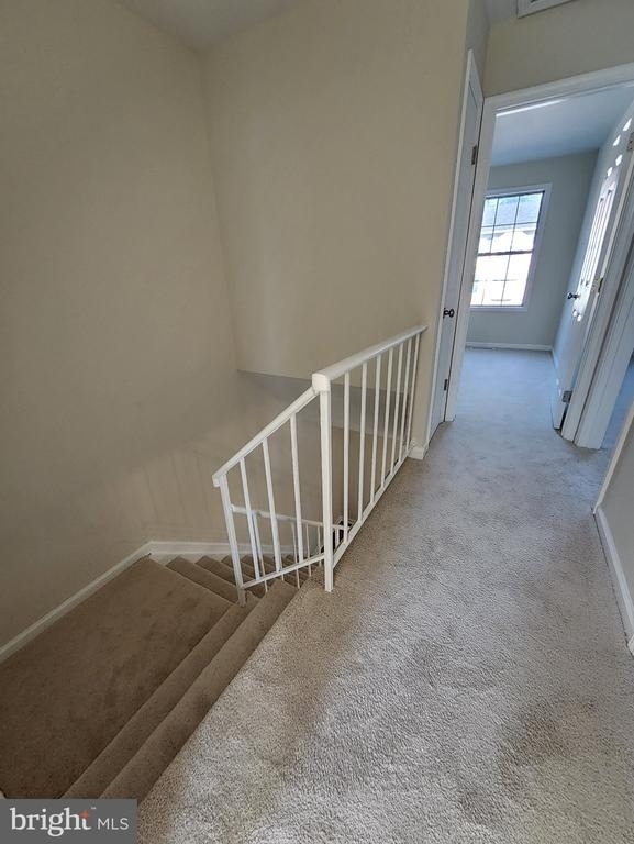 10806 Stone Hill Lane - Photo 10