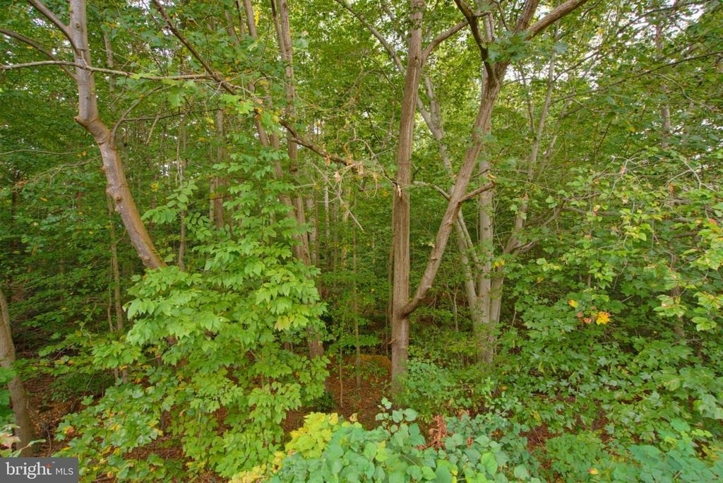 8284 Crestmont Circle - Photo 36