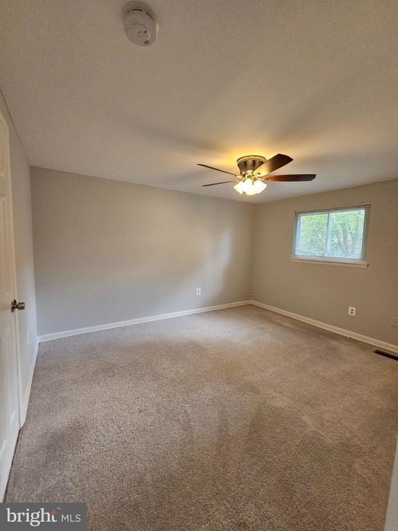 9657 Lindenbrook Street - Photo 25