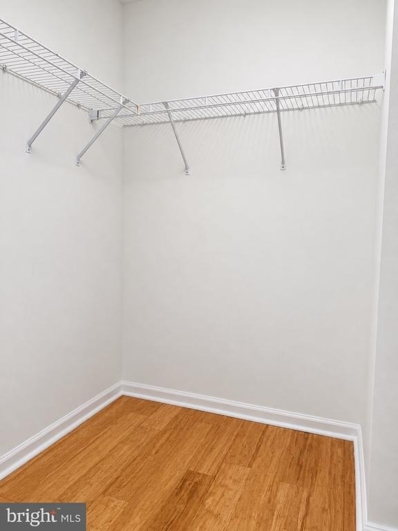 6 Clemens Lane - Photo 19