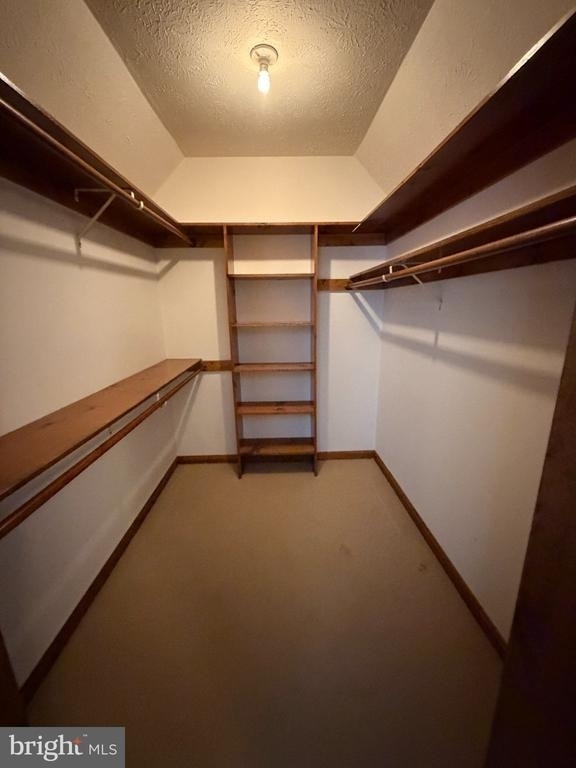 23236 Hickory Nut Drive - Photo 22