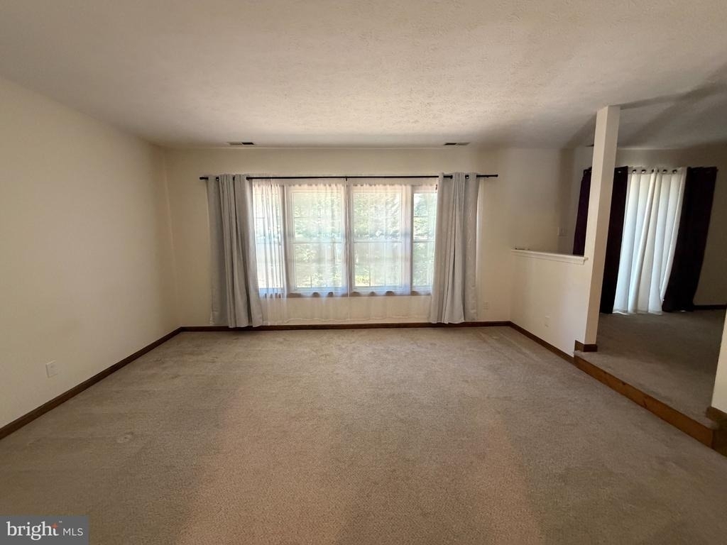 23236 Hickory Nut Drive - Photo 6