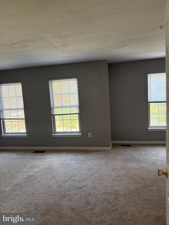 8207 Birdsong Drive - Photo 28