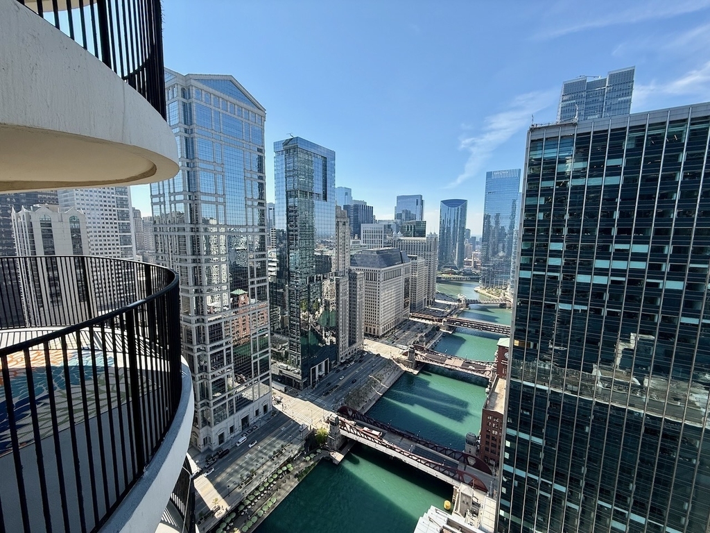 300 N State Street - Photo 4