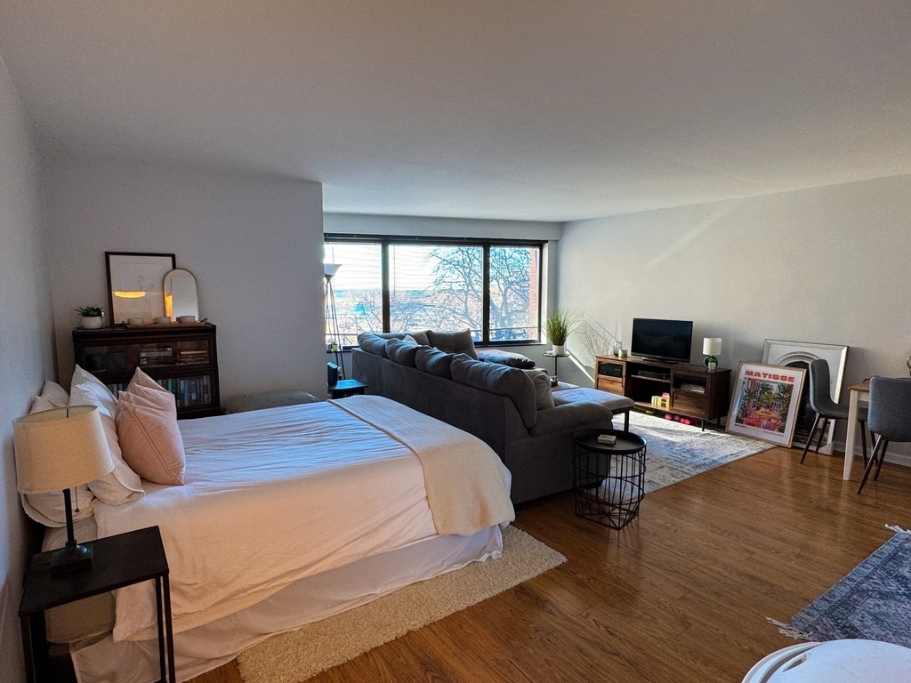 3100 N Lake Shore Drive - Photo 14