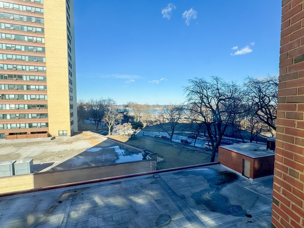 3100 N Lake Shore Drive - Photo 9