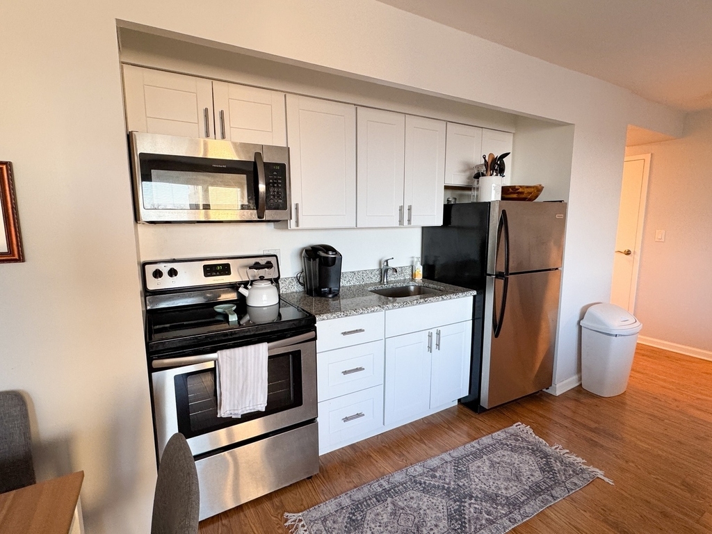 3100 N Lake Shore Drive - Photo 12