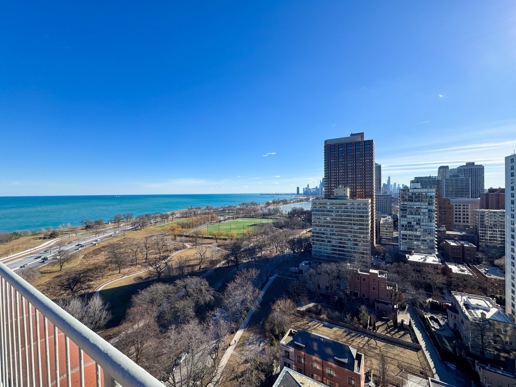3100 N Lake Shore Drive - Photo 2