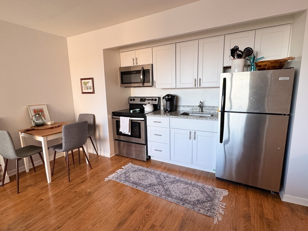 3100 N Lake Shore Drive - Photo 6