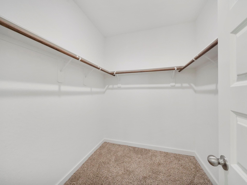 25156 Pacific Wren Drive - Photo 8