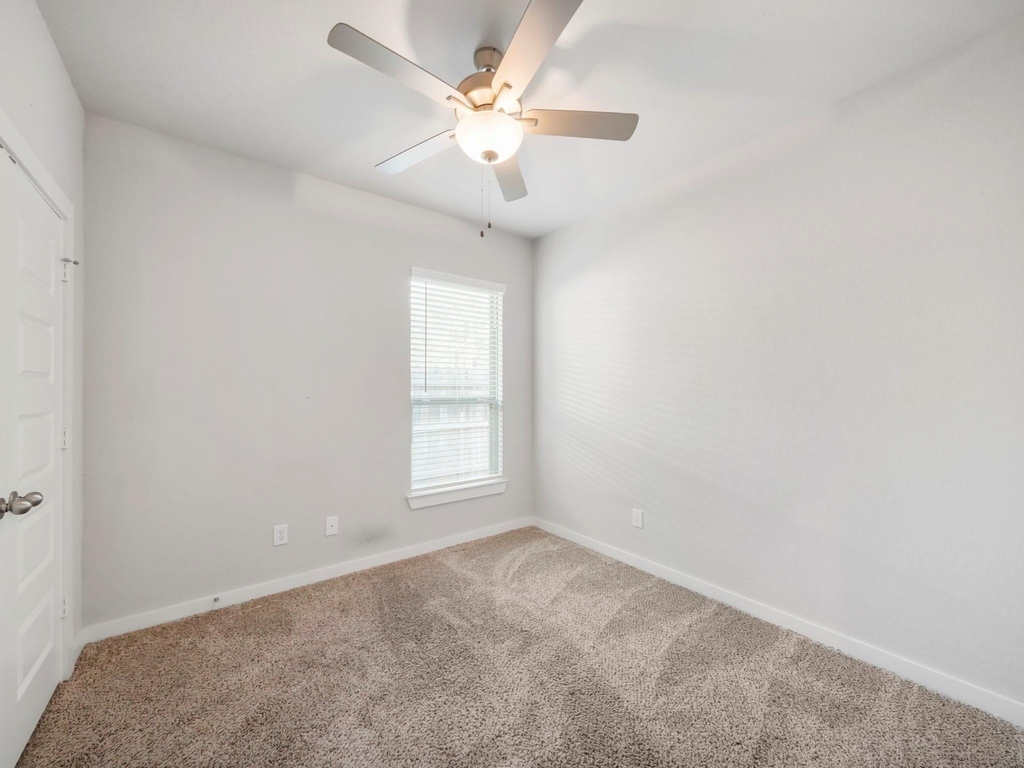 25156 Pacific Wren Drive - Photo 9