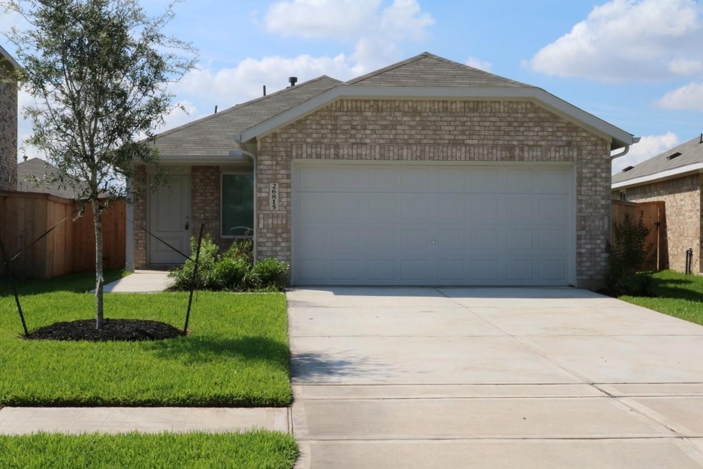 26815 Inkberry Holly Lane - Photo 0