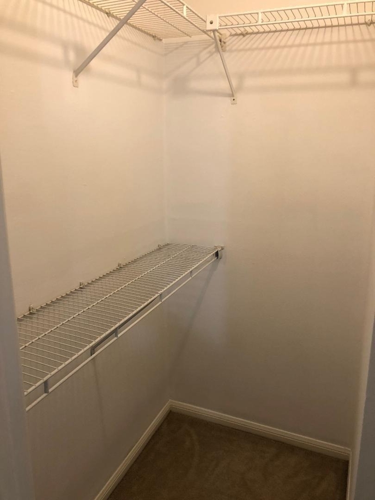 2507 Montrose Boulevard - Photo 11