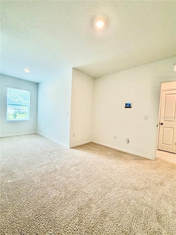 11407 Velvet Apricot Drive - Photo 34