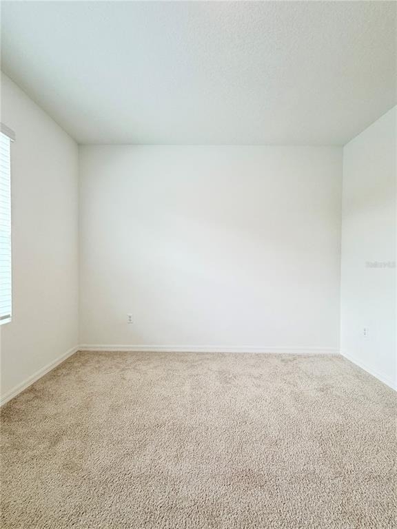 11407 Velvet Apricot Drive - Photo 39