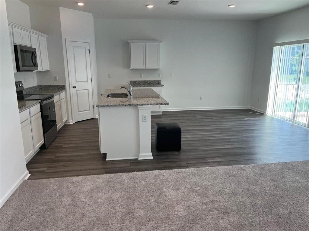 35482 Shade Fern Lane - Photo 2