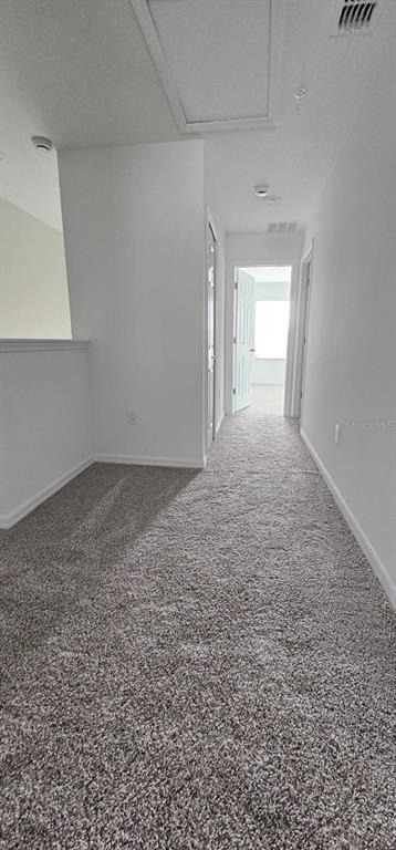 2110 Crape Jasmine Lane - Photo 10