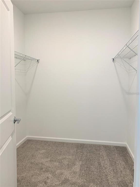 6391 Blissful Street - Photo 17