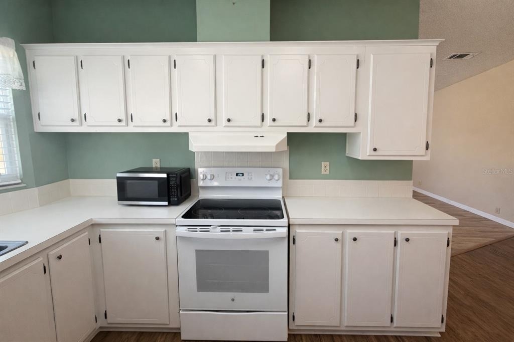 25308 Casa Del Lago Lane - Photo 10