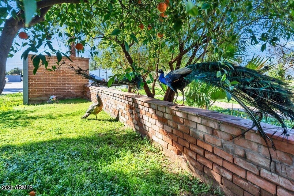 4004 E Mckellips Road - Photo 4