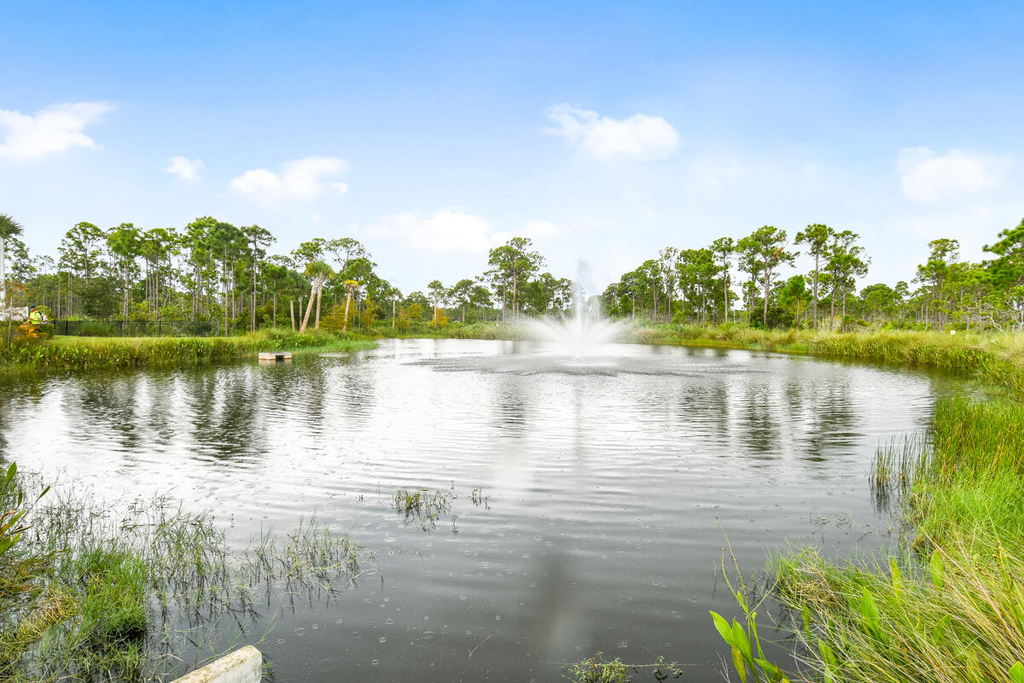 251 Osprey Preserve Boulevard - Photo 28