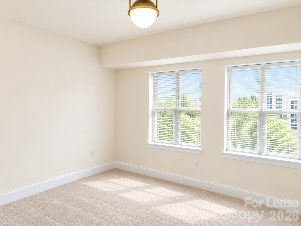 4625 Piedmont Row Drive - Photo 9